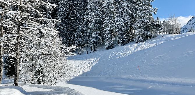 Landschaftsaufnahmen in Warth-Schröcken