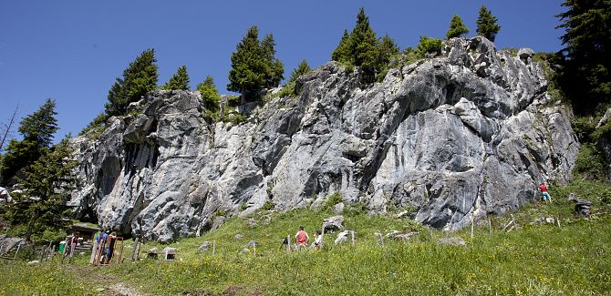 Climbing garden Schrofenwies.