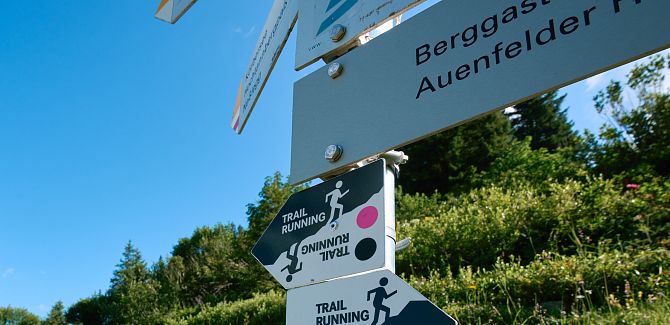 trailrunning-in-warth-schroecken-am-arlberg-2