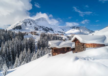 Ein Winterwunderland eröffnet sich am ersten Sonnentag nach dem Schneefall