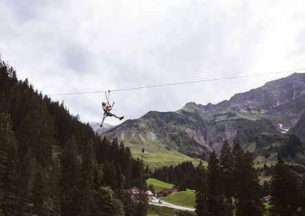 Flying Fox