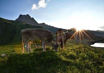 Kalbelesee am Hochtannbergpass