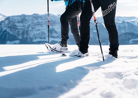 Snow shoe hiking in Bregenzerwald