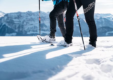 Schneeschuhwandern