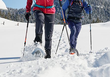 Snow shoe hiking in Bregenzerwald