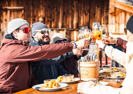 A group of friends raises their glasses at a sunny mountain hut, enjoying drinks and an outdoor meal.