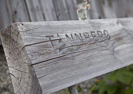 Eine verwitterte Holzbank mit der Aufschrift „Tannberg“, umgeben von alpiner Vegetation.