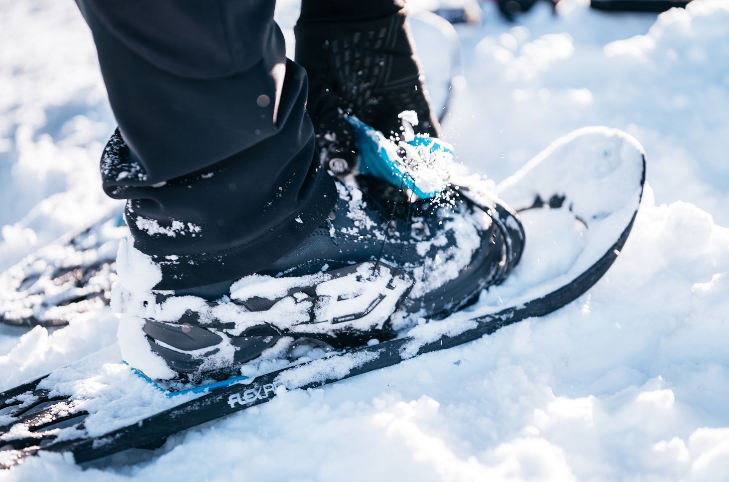 Snow shoe hiking in Bregenzerwald