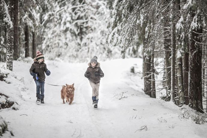 Hunde sind herzlich willkommen