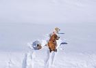 Unsere Goldies Finja und Charly im Schnee