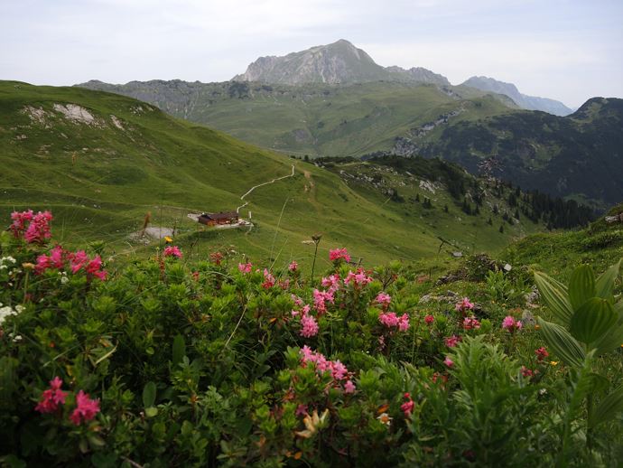 Punschhütte2