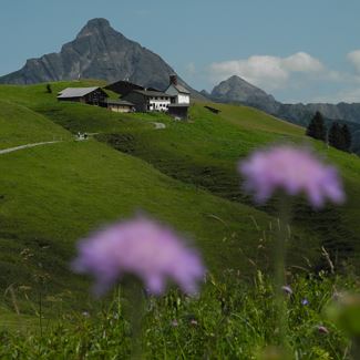 From the mountain station Steffisalp to Bürstegg